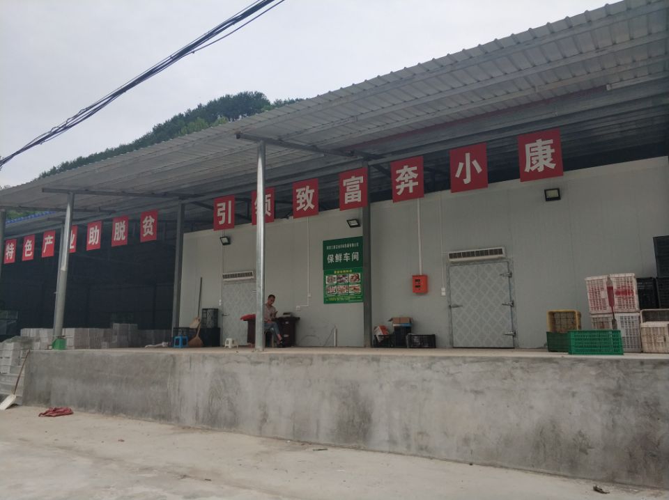 成都冻库安装中江首选四川OD真人，冷库企业